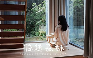 你们要的沉浸式入住体验来了 | 放肆呼吸，住进森林里 room代码<隐溪>
