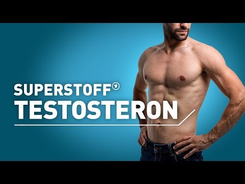 Super substance testosterone – more strength, more desire, more happiness? | Preview
