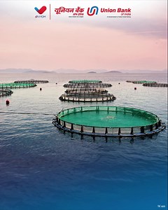 29K views · 543 reactions | Financing India's fisheries with a clear vision of enhancing fish production, uplifting coastal communities, and enabling self-reliance through sustainable practices. Know More: https://tinyurl.com/54j2hm3s Apply Now: https://www.unionbankofindia.co.in/applynow/ #UnionBankOfIndia #GoodPeopleToBankWith | Union Bank of India | Facebook