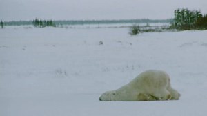 Mondays, UGH. http://www.womansday.com/health-fitness/wellness/advice/g1081/how-to-wake-up/ | Woman's Day Magazine