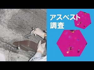アスベスト調査
