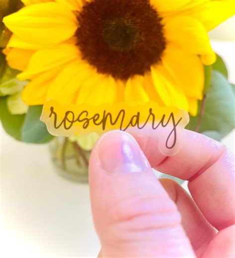 Modern Calligraphy Spice Jar Labels: Kitchen Organization Set - Etsy