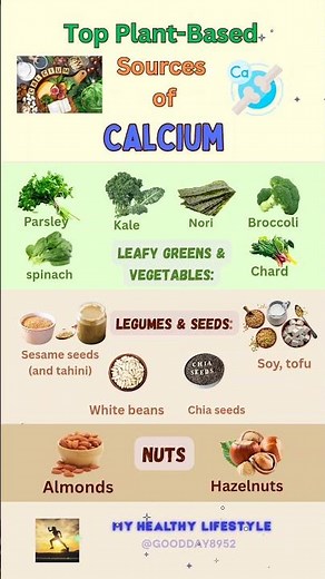🥇 Top Plant-Based Sources of Calcium (No Dairy Required)🌿