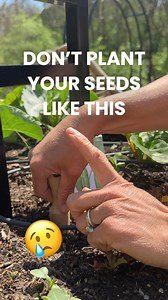 104K views · 695 reactions | Comment SEEDS to get 10 packs of seed...