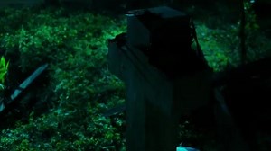 6.2K views · 272 reactions | Ruger - One Shirt ft. Rema & D’Prince | DJ Marley yankee | Facebook