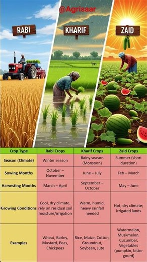 Cropping Seasons Explained | Classification of Field crops #youtubeshorts #youtube #education