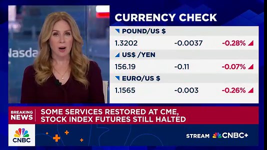 Some services restored at CME, stock index futures still halted
