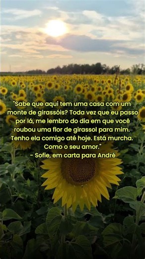 Quote de Sofie, personagem de JSOP*