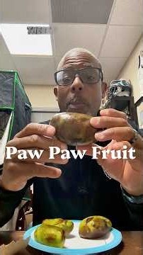 Paw paw fruit # #andrethefarmer #exoticfruit #pawpaw #rarefruit #fruittasting