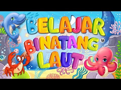 Learn Names Sea Animals For Kids