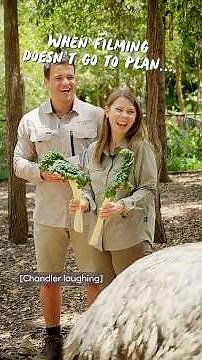 Bindi Irwin and Chandler introduce you to the dinosaurs of Australia Zoo 🐔