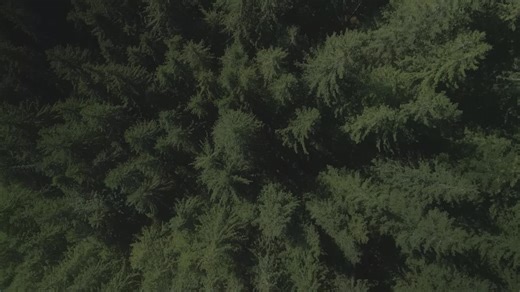 Introducing Nomad | Sikorsky | 36 comments