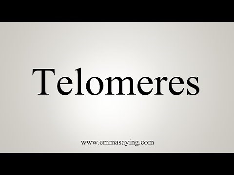 How To Say Telomeres
