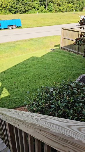 Scooby doo😎 link in our bio! . #scoobydoo #scoobydooparty #caketopper #etsyshop #partytime | The Celebration Spot