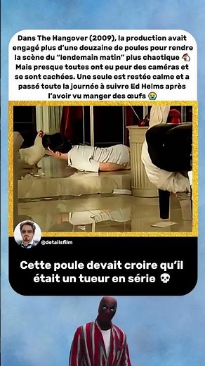 Une Poule a Commencé à Suivre Ed Helms Toute la Journée 😂🐔 | The Hangover (2009)