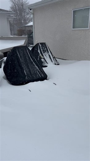 Apparently winter is not over yet? Tuesday March 17, 2026