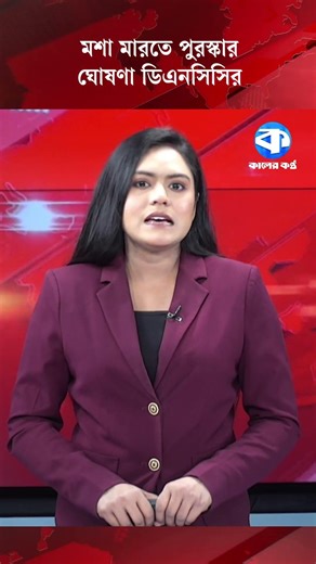 মশা মারতে পুরস্কার ঘোষণা ডিএনসিসির #dcc #mosquitocontrol #publichealth