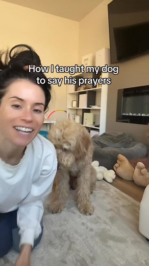 How to teach your dog to pray 🥰 #dog #goldendoodle #cute #dogtricks | Me • My Doods • and • I