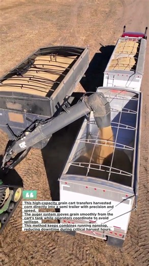Grain Cart Unloading Corn Into Semi Trailer #farming #agriculture #harvest