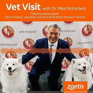 4.3K views · 74 reactions | The impact of interacting with pets can...