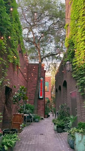 Explore Charm and Beauty in Downtown Fort Worth, Texas