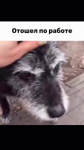 По работе 🤣