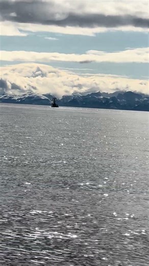 Current status - beautiful day on the Gypsy #sailaway #boatlife