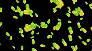 Píldoras medicinales verdes y amarillas que: video de stock (totalmente libre de regalías) 33478165 | Shutterstock