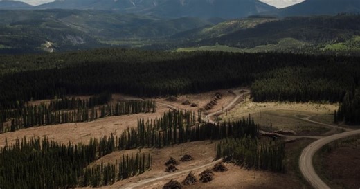 Aris Gold production jumps more than 20%