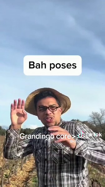 Exploring Grandingo Core: Humor and Fun