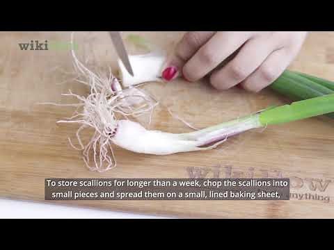 How to Store Scallions