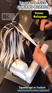 La gran tecnica a Mano Alzada , aprendela en mi curso "Artistas del Balayage" 👉 57 301 7468442 | Roberto Plata Company