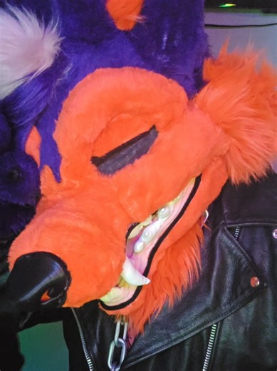 Exploring Emo Culture and Furry Aesthetics