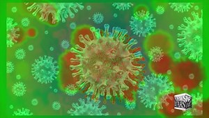 Симуляция пандемии SPARS 2025-2028