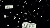 Money drop. Money rain animation on transparent background. Falling...