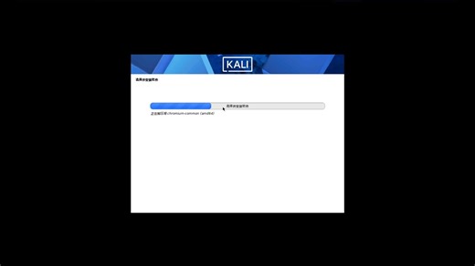 开箱Kali Linux