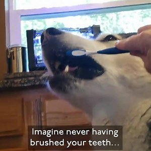 1.9M views · 691 reactions | A few months ago I spoke at a conference...