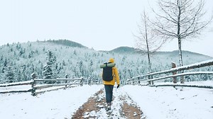 28 reactions | It’s been a long journey through mountains of data, but the 2020 #CreativeTrends are just around the bend. #吝 | Shutterstock | Facebook