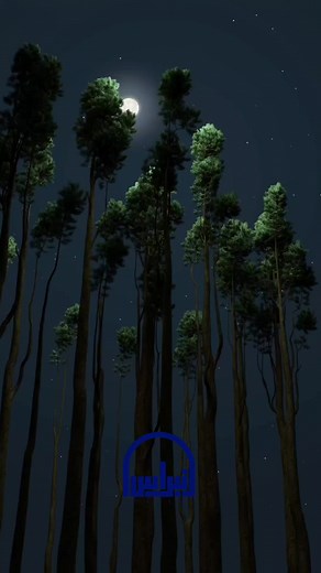 2.9K views · 102 reactions | Arabic language tutorial. #nibrasacademy #arabictutor | Nibras Academy Bangladesh | Facebook