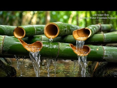 Soft Flow Bamboo Fountain Sounds for Instant Sleep, Anxiety Relief & Deep Calm