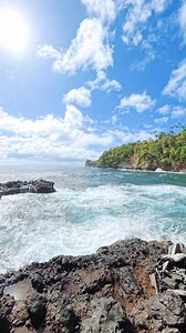 Take a minute to walk our rainforest coastal trail 🌿 Located on the Big Island of Hawai‘i, just outside of Hilo on the Hamakua Coast. Enjoy epic coastal views, turtles, crabs, birds, and all the flowers and fauna of the rainforest. Look out into the ocean ecosystem too algae, urchins, fish, and even whales passing by. Your adventure starts here at Hawai‘i Tropical Botanical Garden. #HawaiiTropicalBotanicalGarden #HawaiiNature #HamakuaCoast #RainforestCoast #NatureWalk #Biodiversity #HawaiiBirds