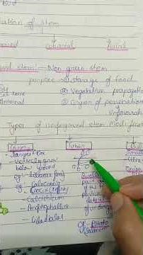 Underground stem🌱 #biology #botanylovers ‪@StudywithPriyanka720‬ 🥼🩺