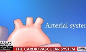 Sorry, we have encountered a problem. - Alexander Street, a ProQuest Company