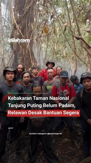 Kebakaran di Taman Nasional Tanjung Puting, Kalimantan Tengah, masih belum sepenuhnya padam. Relawan di lapangan mulai kewalahan menghadapi api dan kabut asap yang terus mengancam kawasan hutan. Mereka pun menyerukan bantuan segera dari pemerintah pusat agar penanganan bisa diperkuat, mengingat kawasan ini juga menjadi habitat penting bagi orangutan dan satwa liar lainnya. - Selengkapnya kunjungi website dengan klik link di bio atau download aplikasi di AppStore dan Google Play Store. #Inilahcom