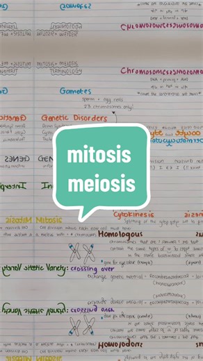 Understanding Mitosis and Meiosis in Genetics