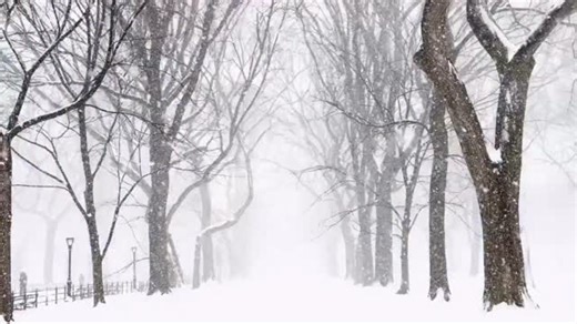 Central Park today….. video from @ingasardasorensen | James Spann