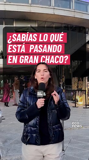 🌎 ¿Sabías lo qué está pasando en el Gran Chaco? 🪵 El Gran Chaco es uno de los bosques más grandes, diversos y esenciales del planeta: ocupa 1,1 millones de km² y se extiende por Argentina, Paraguay, Bolivia y Brasil. 🐅 Es hogar de 9 millones de personas y 43 pueblos indígenas, además de 3.400 especies de plantas, 500 aves, 150 mamíferos, 120 reptiles y 100 anfibios. Pero también es uno de los más amenazados. ⚠️ El 30% de sus bosques ya desapareció por el avance de la ganadería, los desmontes 