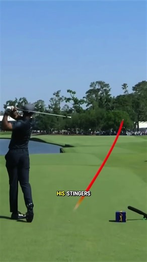 Common trait in good ball strikers 👀🔥 #golf #golftiktok #golfswing #golftips