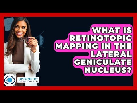 What Is Retinotopic Mapping In The Lateral Geniculate Nucleus? - Optometry Knowledge Base