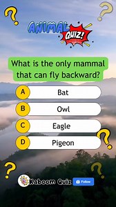 What is the only mammal? #quiz #quiztime #animalquiz #biology #sciencequiz #science #popquiz #trivia #educational | Kaboom Quiz
